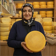 Organik Ev yapımı orjinal kars kaşarı